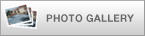 SnapSports Gallery